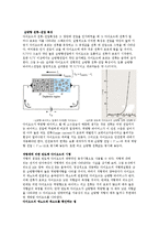 반도체 다이오드-3