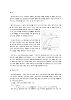 기계공학 - 인장실험-11