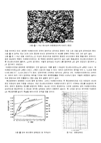 강의 열처리 및 조직 검사 실험-3