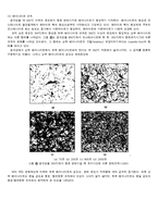 강의 열처리 및 조직 검사 실험-4
