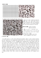 강의 열처리 및 조직 검사 실험-7
