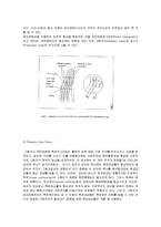 기계공학 실험 - 그림자식 모아레 예비, 결과 보고서-2
