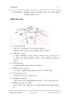 기본측량학실습 - 수준측량-4