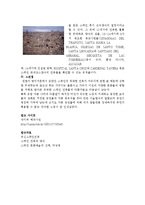 [건축학] 스페인의 건축-5