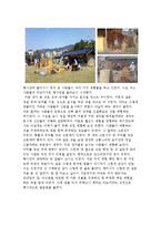 [탐방 감상문] 가야문화의 체험과 오광대의 의미 - 김해 가야 문화축제를 다녀와서-2