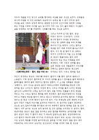 [탐방 감상문] 가야문화의 체험과 오광대의 의미 - 김해 가야 문화축제를 다녀와서-6