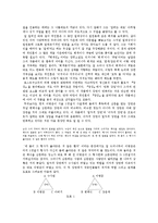 [비평문] \`광장\`을 읽는 일곱 가지 방법-6