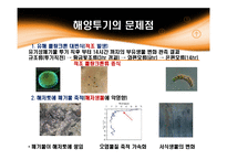 해양투기에 대해서-9