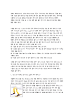 동계스포츠 - 스노우 보드 경기력 향상을 위한 트레이닝 방법과 프로그램 작성-7