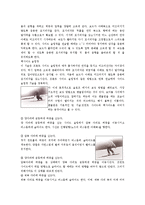 동계스포츠 - 스노우 보드 경기력 향상을 위한 트레이닝 방법과 프로그램 작성-9