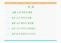농촌지역 노인복지의 현황과 환경 및 문제점과 노인복지 개선방안-2