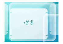 [국토계획] 4대강 정비 사업-5