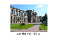 목사 - 필립 야곱 스페너의 생애-4
