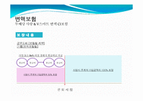 생명보험론 - 변액보험에 관하여-2