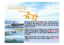 국토 계획 - 4대강 사업 조사-5