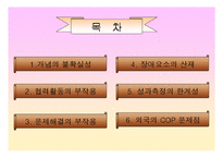 지역경찰 - 지역사회경찰활동의 한계-2