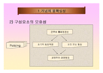 지역경찰 - 지역사회경찰활동의 한계-5