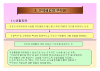 지역경찰 - 지역사회경찰활동의 한계-9
