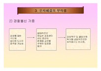 지역경찰 - 지역사회경찰활동의 한계-10
