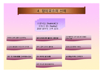 지역경찰 - 지역사회경찰활동의 한계-13