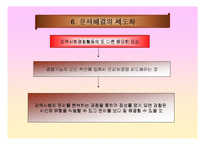 지역경찰 - 지역사회경찰활동의 한계-19