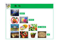 \`GMO 식품 정말 안전 한가\`에 대해-2