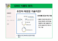 \`GMO 식품 정말 안전 한가\`에 대해-6