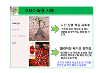 \`GMO 식품 정말 안전 한가\`에 대해-10
