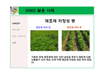 \`GMO 식품 정말 안전 한가\`에 대해-11