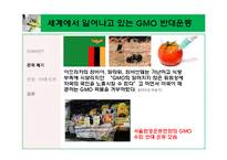\`GMO 식품 정말 안전 한가\`에 대해-15