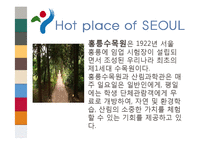 도시소개 - 서울에 대해서-15
