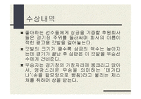 일본문화의 이해 - 스모에 대해서-8