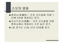 일본문화의 이해 - 스모에 대해서-10