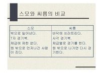 일본문화의 이해 - 스모에 대해서-19