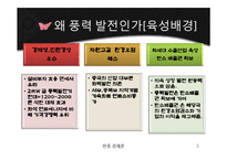 중국의 풍력 발전 산업-3