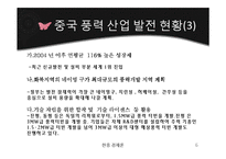 중국의 풍력 발전 산업-6