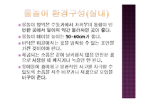 놀이지도 - 모래놀이, 물놀이 놀이지도-10