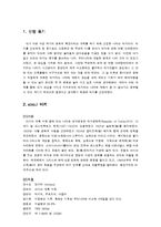 [서양의 역사와 문화] 종교를 통해서 바라본 터키의 문화적 특징-2