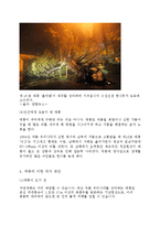 태풍에 대한 여러가지 고찰-10