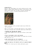 태풍에 대한 여러가지 고찰-15