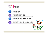 국제관광 - 네덜란드 관광-2
