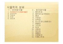 채소 원예총론 - 식물 형태학적 분류-8