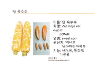 채소 원예총론 - 식물 형태학적 분류-9