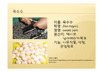 채소 원예총론 - 식물 형태학적 분류-10