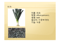 채소 원예총론 - 식물 형태학적 분류-18