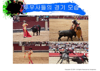 [국제관광] 자유여행 - 스페인편-19