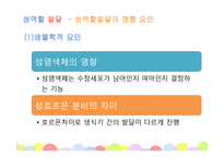 아동발달과교육 - 성역할 및 도덕성발달-19