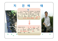 환경과학 - 최근 오염사례 및 고찰-6