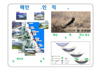 환경과학 - 최근 오염사례 및 고찰-8