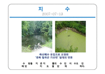 환경과학 - 최근 오염사례 및 고찰-18